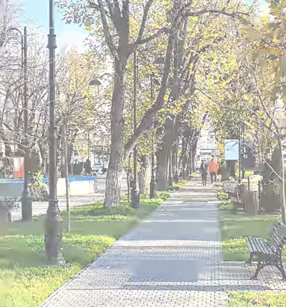 Târgoviște: Administrația locală continuă lucrările de întreținere a spațiilor verzi, chiar și în sezonul de toamnă