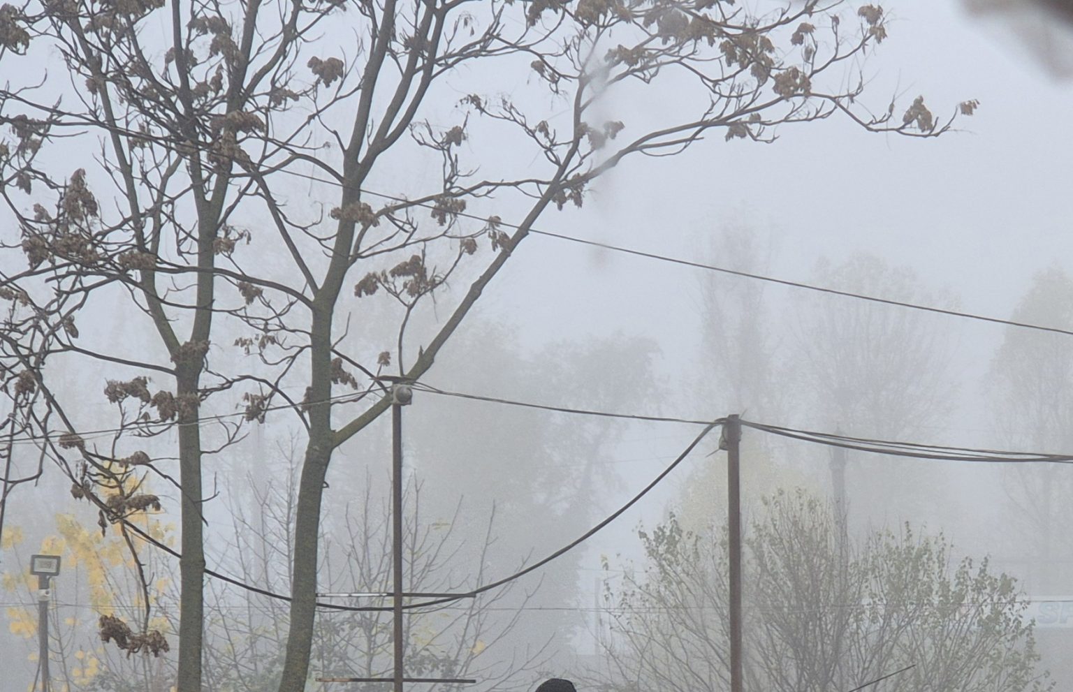 Vreme capricioasă în județul Dâmbovița Vreme capricioasă în județul Dâmbovița