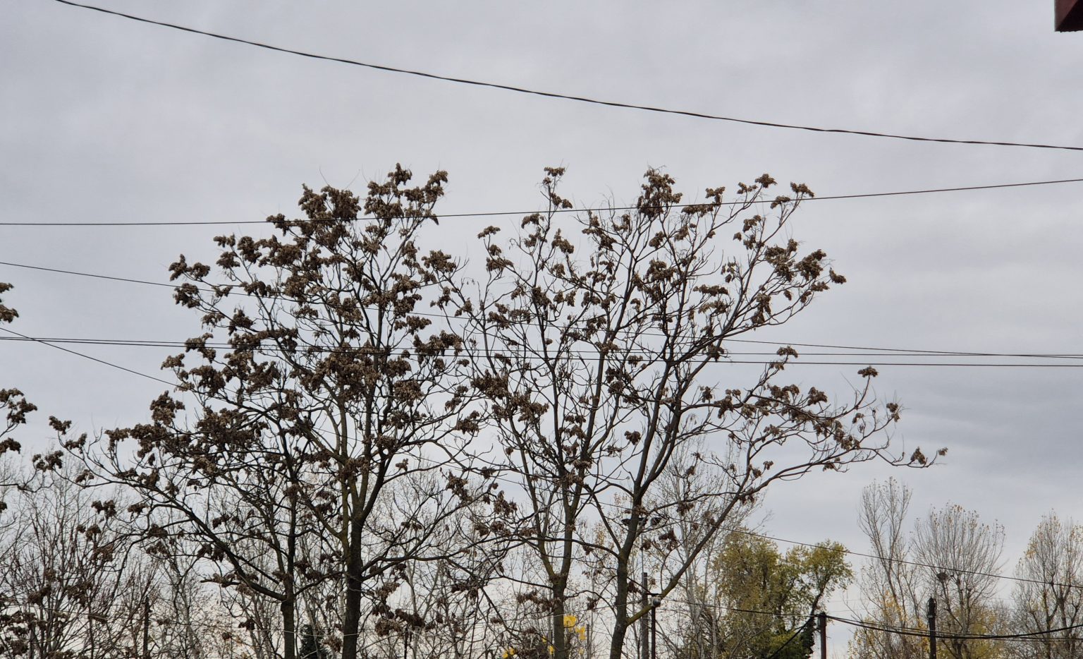 Vreme instabilă până pe 30 noiembrie :  Atenție, Dâmbovița!