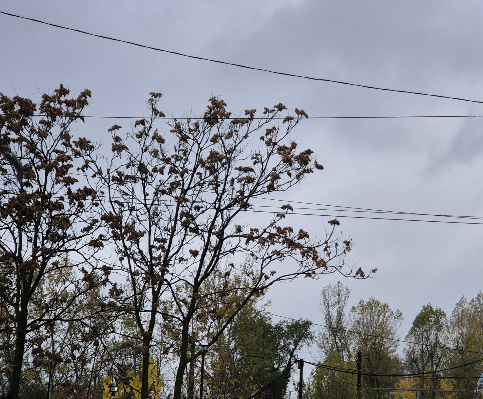 Vremea astăzi în județul Dâmbovița: Ploi slabe și temperaturi de până la 11 °C