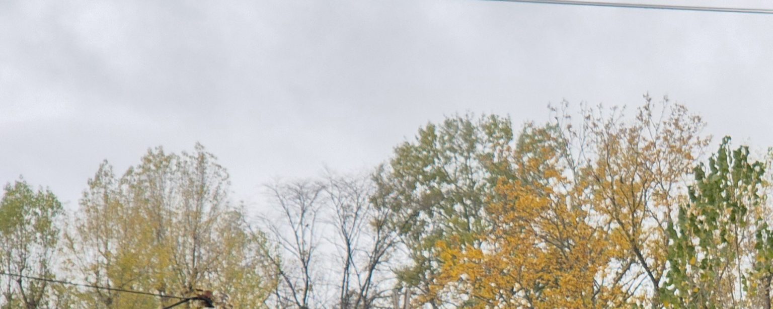 Vremea azi în județul Dâmbovița: Ploi slabe și temperaturi scăzute