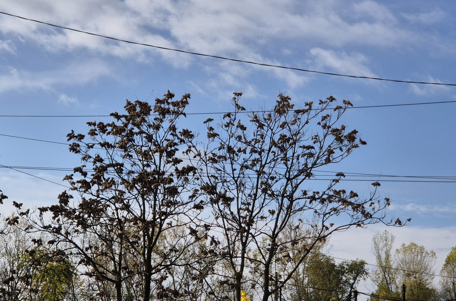 Vremea în județul Dâmbovița: Temperaturi scăzute și cer variabil 