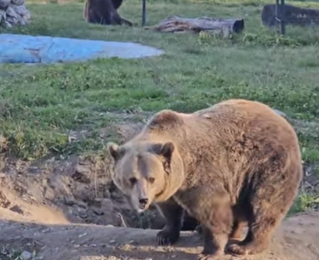  Toamna aduce farmec la Zoo Târgoviște