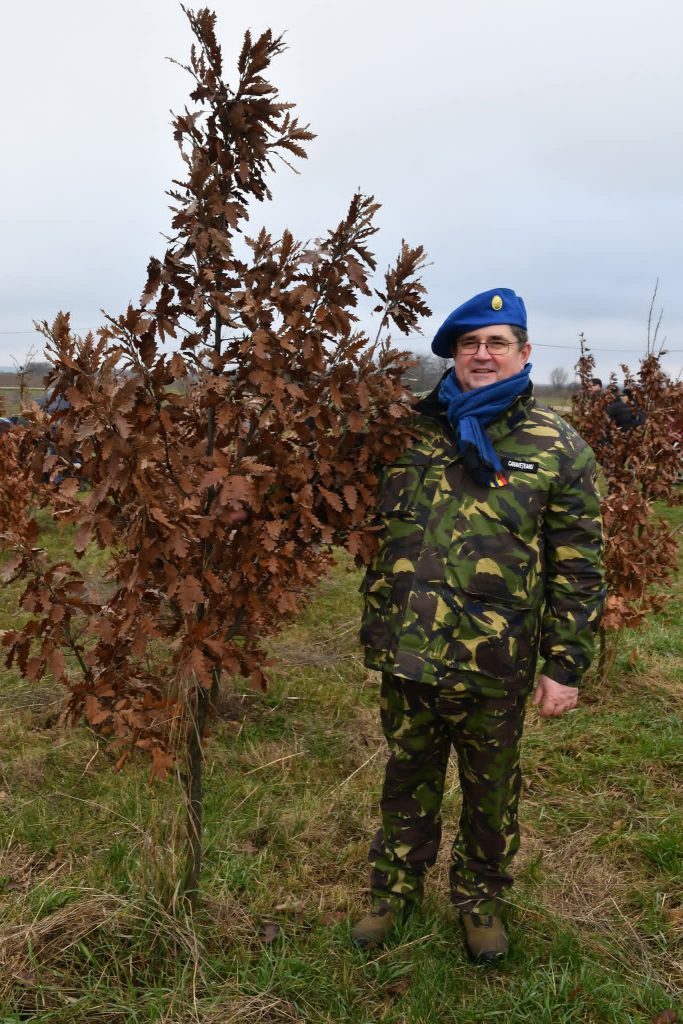 600 de stejari plantați la Ghimpați în memoria eroilor Revoluției din Decembrie 1989 