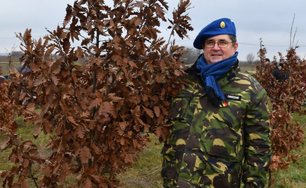 600 de stejari plantați la Ghimpați în memoria eroilor Revoluției din Decembrie 1989 