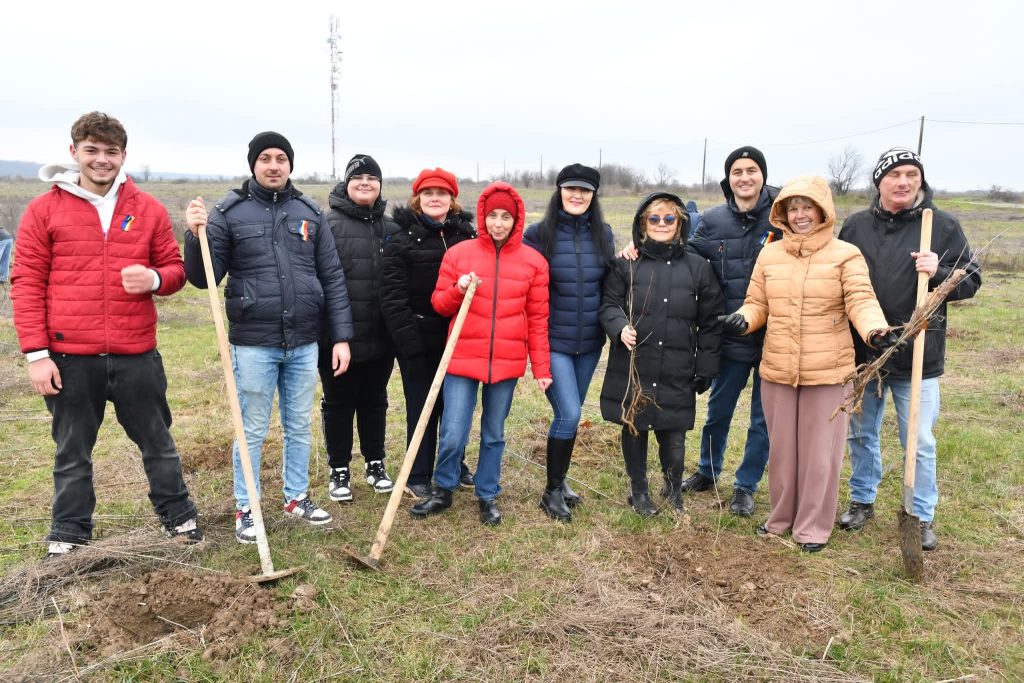 600 de stejari plantați la Ghimpați în memoria eroilor Revoluției din Decembrie 1989 