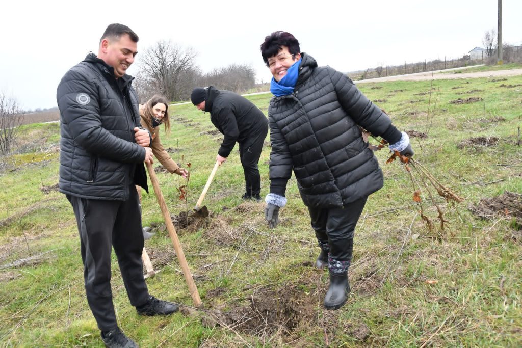600 de stejari plantați la Ghimpați în memoria eroilor Revoluției din Decembrie 1989 