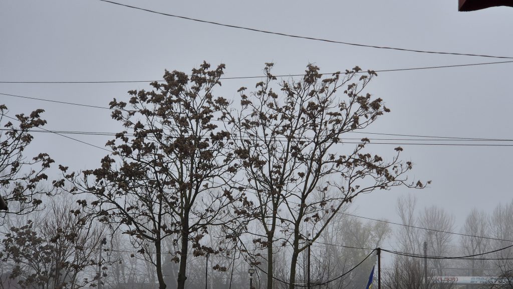 Avertisment meteo de la Administrația Națională de Meteorologie – ceață persistentă și inversiune termică în mai multe regiuni Avertisment meteo de la Administrația Națională de Meteorologie – ceață persistentă și inversiune termică în mai multe regiuni