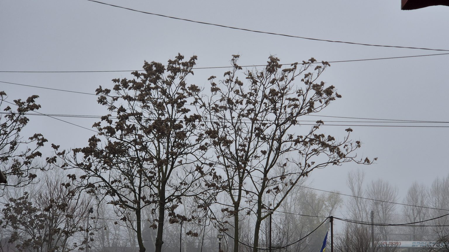 Avertisment meteo de la Administrația Națională de Meteorologie – ceață persistentă și inversiune termică în mai multe regiuni Avertisment meteo de la Administrația Națională de Meteorologie – ceață persistentă și inversiune termică în mai multe regiuni