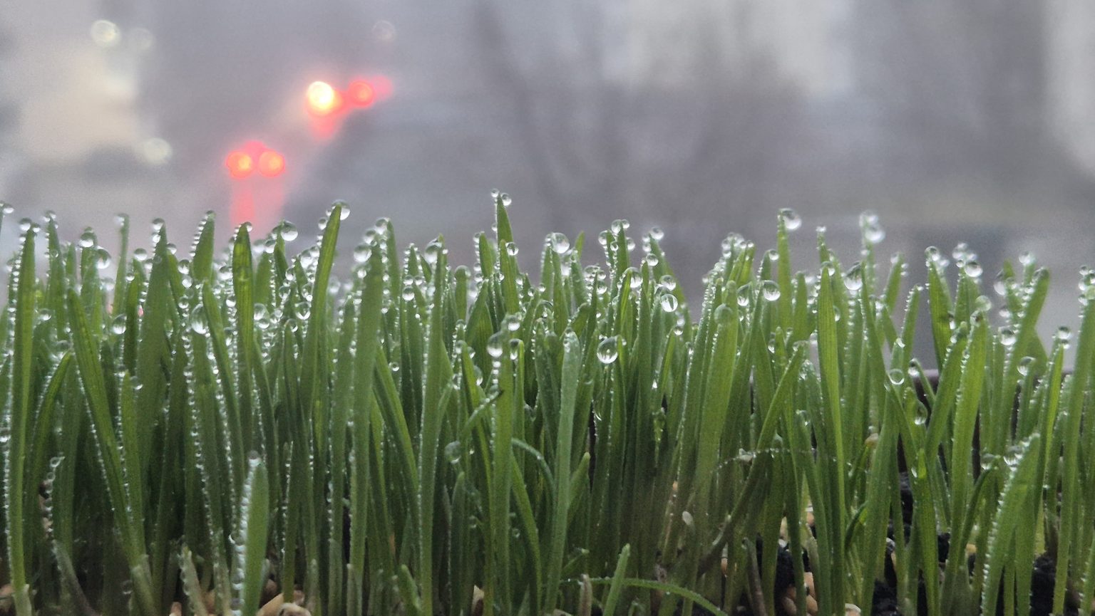 Ceață și burniță în județul Dâmbovița — vizibilitate redusă și drumuri alunecoase astăzi