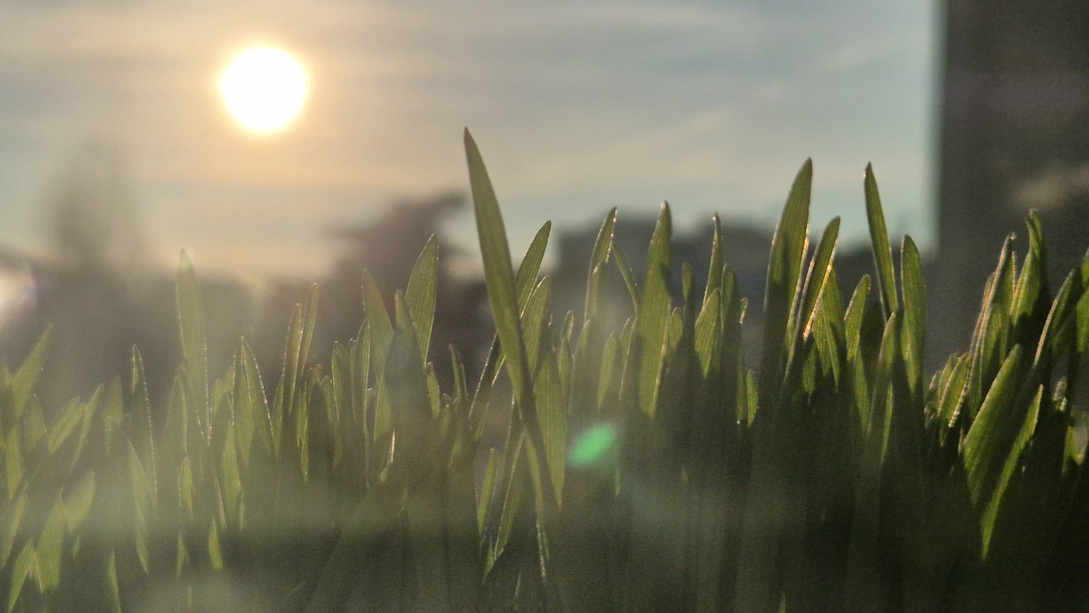 Dimineață geroasă în județul Dâmbovița, temperaturi sub zero grade Celsius 