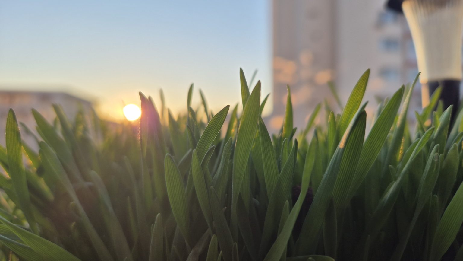 Dimineață rece în județul Dâmbovița, chiar dacă apare soarele, temperaturile rămân scăzute pe parcursul zilei