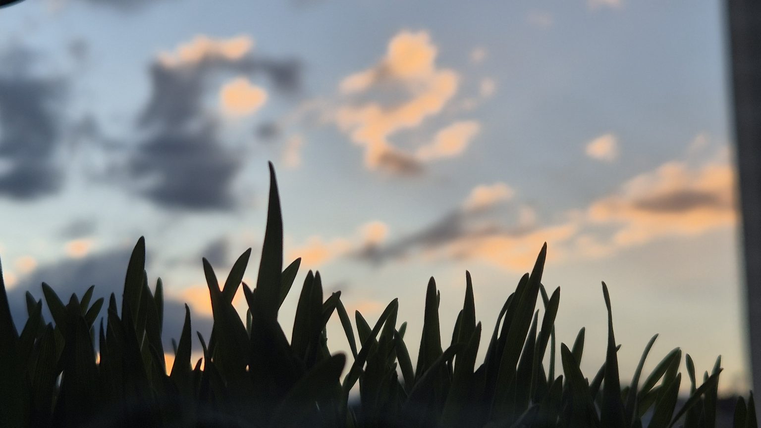 Județul Dâmbovița, cu temperaturi sub pragul de îngheț, urmate de o zi rece