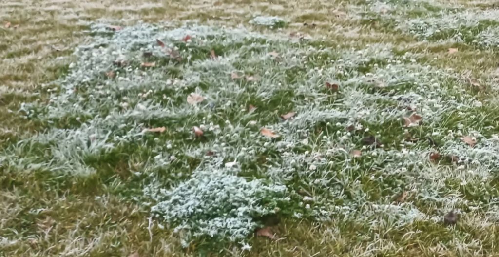 Mare atenție din această după-amiază, masă de aer polar intră în România, iarna autentică se instalează Mare atenție din această după-amiază, masă de aer polar intră în România, iarna autentică se instalează