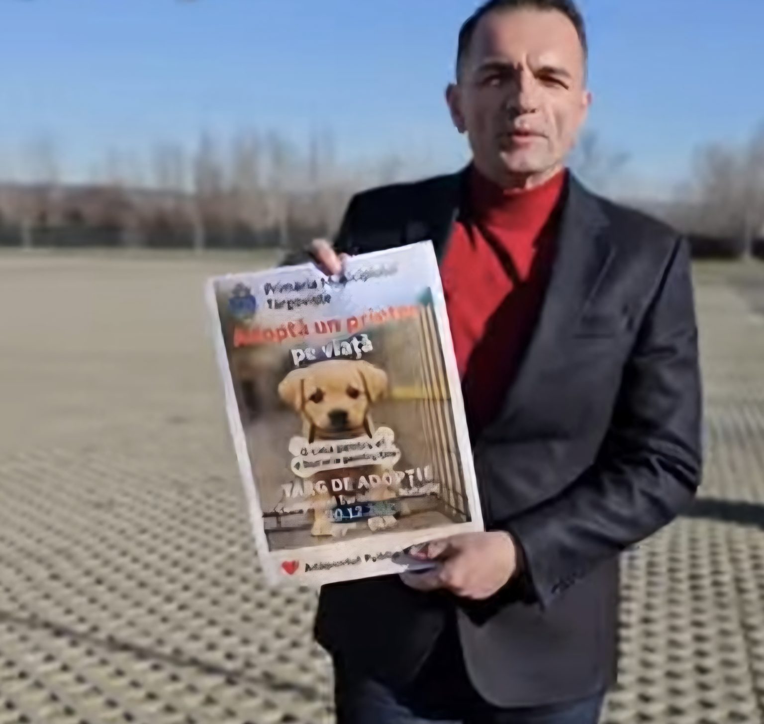 Primul târg de adopții câini organizat de Primăria Târgoviște. Mesaj: „Adoptă un prieten pe viață!”