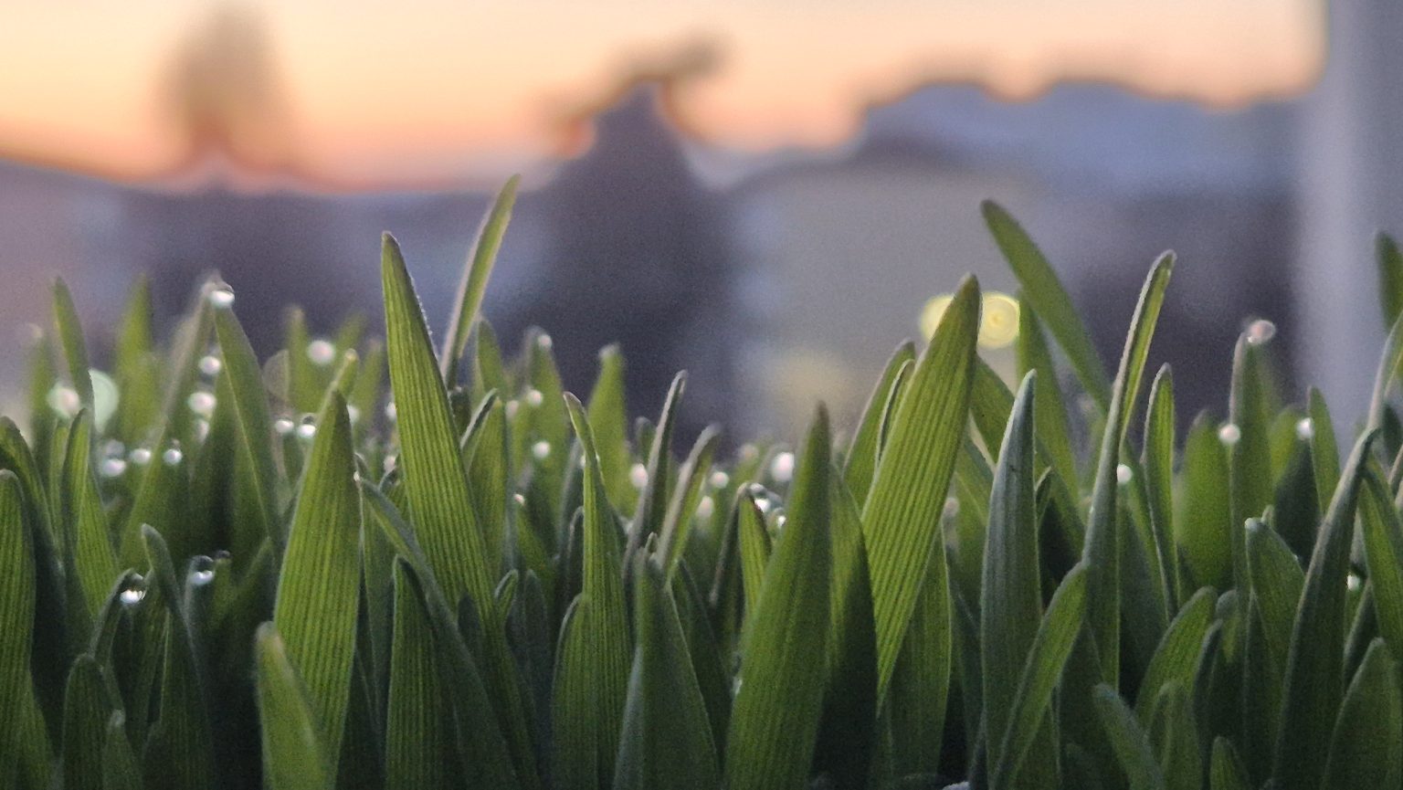 Val de aer rece peste județul Dâmbovița, iarna își intră în drepturi