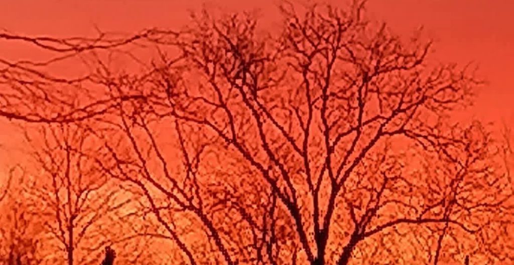 Vremea de vineri, 12 decembrie 2025: Cer închis și temperaturi normale pentru această perioadă Vremea de vineri, 12 decembrie 2025: Cer închis și temperaturi normale pentru această perioadă