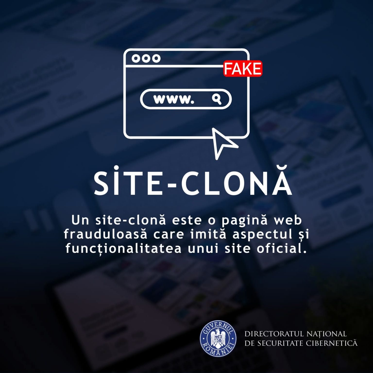 Alertă pentru utilizatorii online: pericolul site-urilor false 