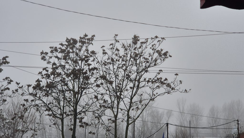 Cod galben de ceață, burniță și temperaturi scăzute în județul Dâmbovița Cod galben de ceață, burniță și temperaturi scăzute în județul Dâmbovița