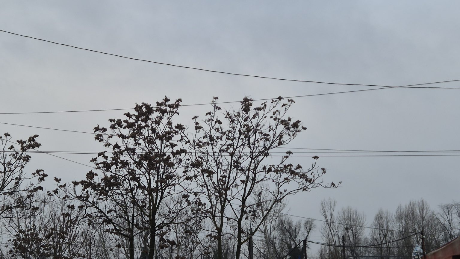 Iarna revine din această seară: Val de aer rece și precipitații mixte 