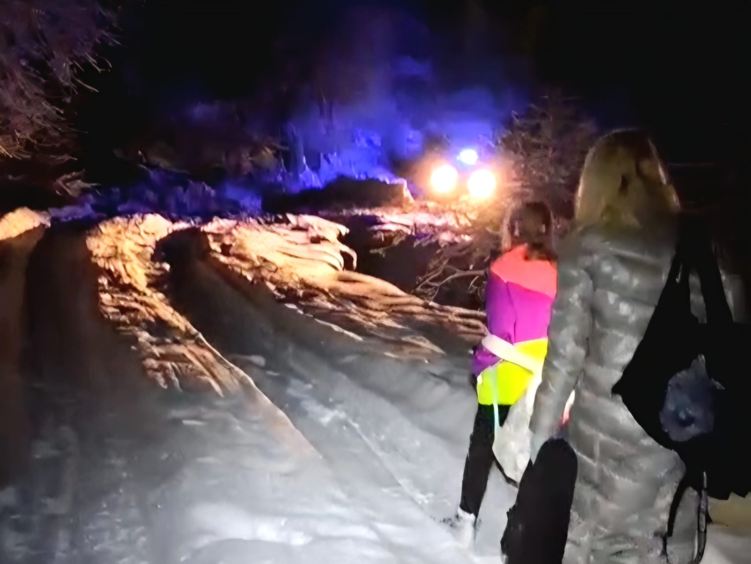 Patru turiști din București, doi adulți și doi copii, au fost sprijiniți de jandarmii montani dâmbovițeni după ce au rămas înzăpeziți cu autoturismul într-o zonă greu accesibilă din Masivul Bucegi Patru turiști din București, doi adulți și doi copii, au fost sprijiniți de jandarmii montani dâmbovițeni după ce au rămas înzăpeziți cu autoturismul într-o zonă greu accesibilă din Masivul Bucegi