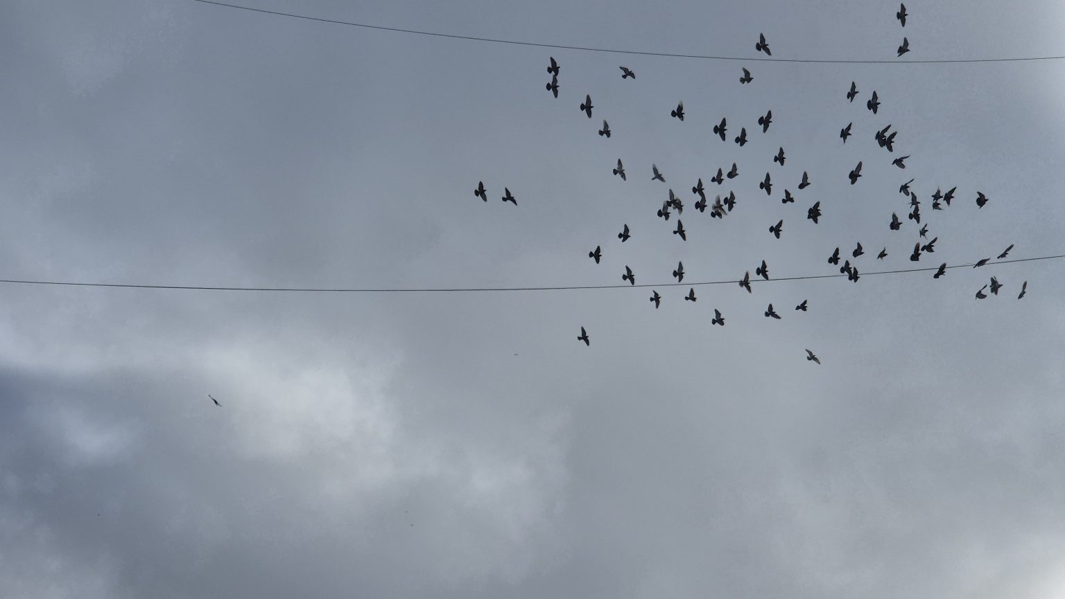 Vremea, anticiclonii intră în luptă, iar iarna are șanse să revină începând de joi noapte Vremea, anticiclonii intră în luptă, iar iarna are șanse să revină începând de joi noapte