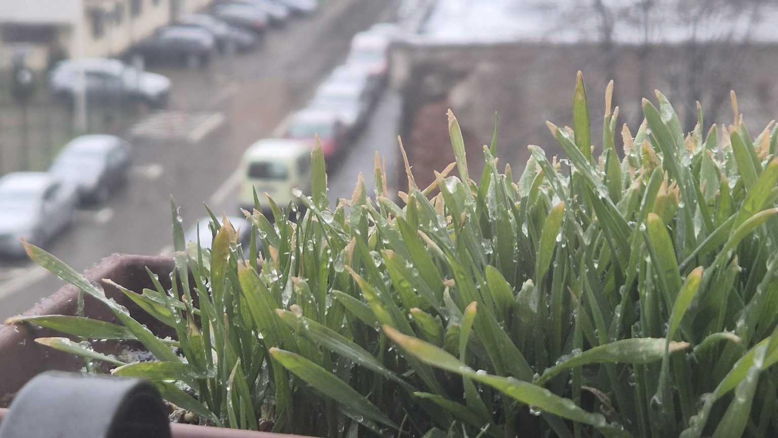 Vremea în Târgoviște: Ninsoare și temperaturi scăzute