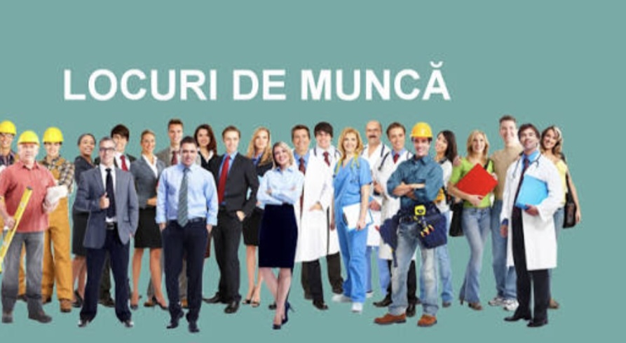 AJOFM Dâmbovița: 229 de locuri de muncă disponibile AJOFM Dâmbovița: 229 de locuri de muncă disponibile