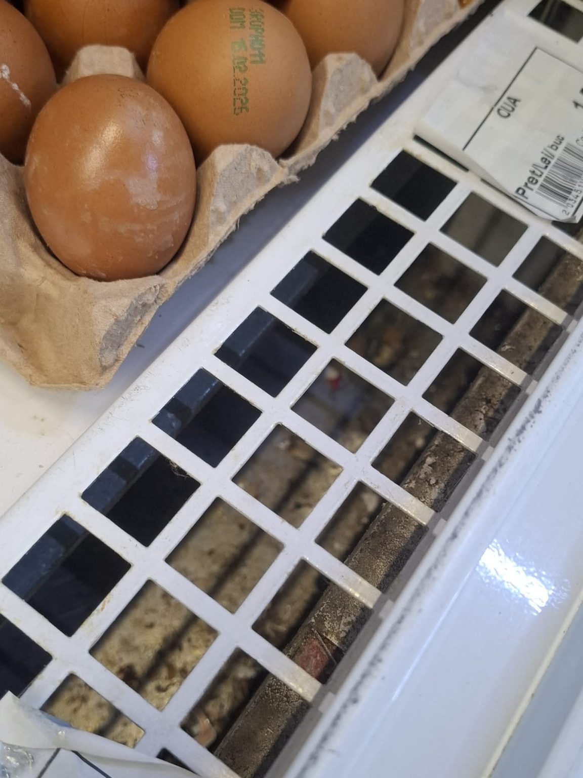 Controale DSVSA Dâmbovița în supermarketuri: 16 sancțiuni și peste 60 kg de produse reținute 