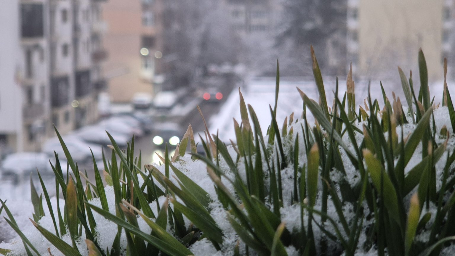 Dimineață autentică de iarnă la Târgoviște! Dimineață autentică de iarnă la Târgoviște!