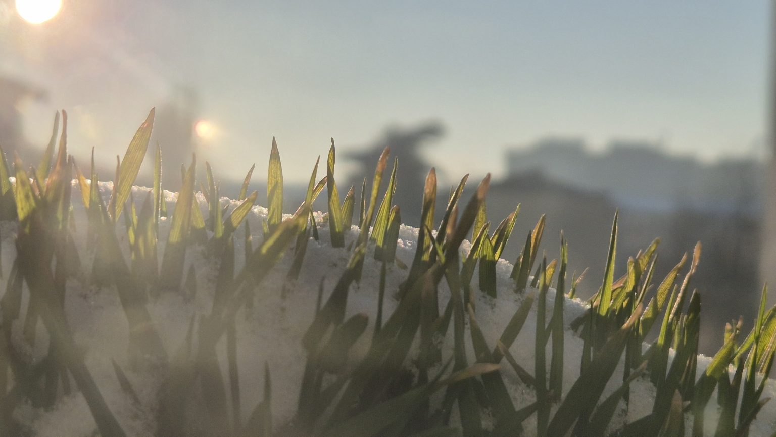 Ger aspru la Târgoviște, record în județulDâmbovița! Dimineață de iarnă autentică, cu temperaturi extrem de scăzute, -15 grade Celsius Ger aspru la Târgoviște, record în județulDâmbovița! Dimineață de iarnă autentică, cu temperaturi extrem de scăzute, -15 grade Celsius