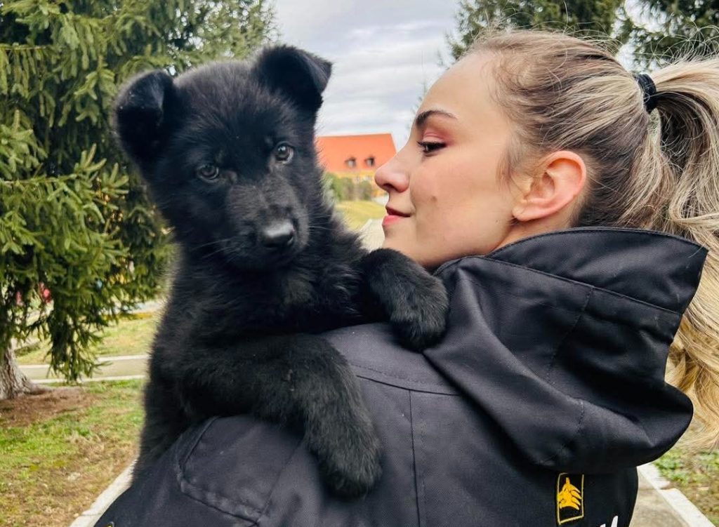 Iureș, patrupedul cu privire de control, a sosit la birou