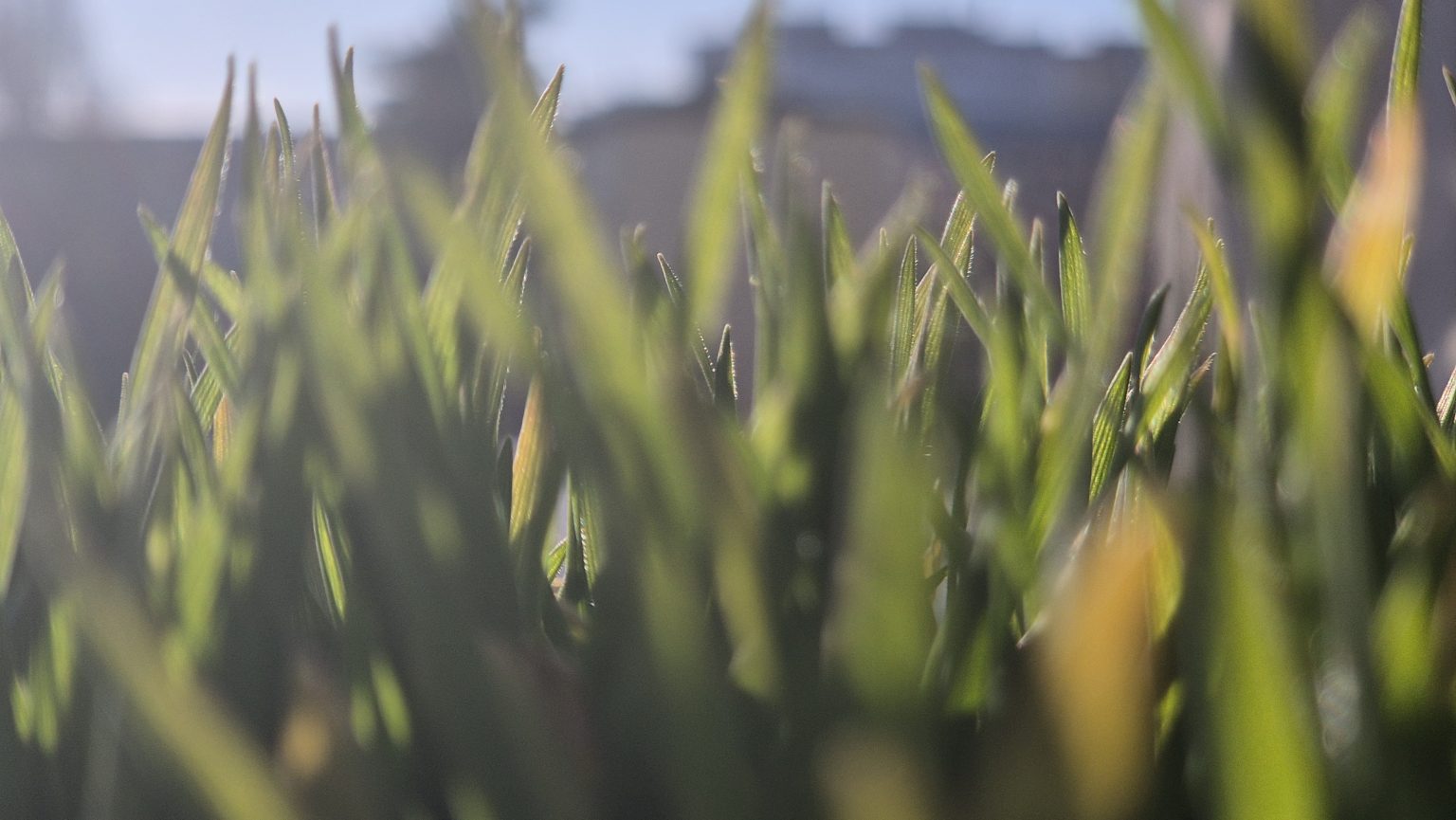 Șocuri termice în Dâmbovița! Diferențe mari de temperatură de la zi la noapte