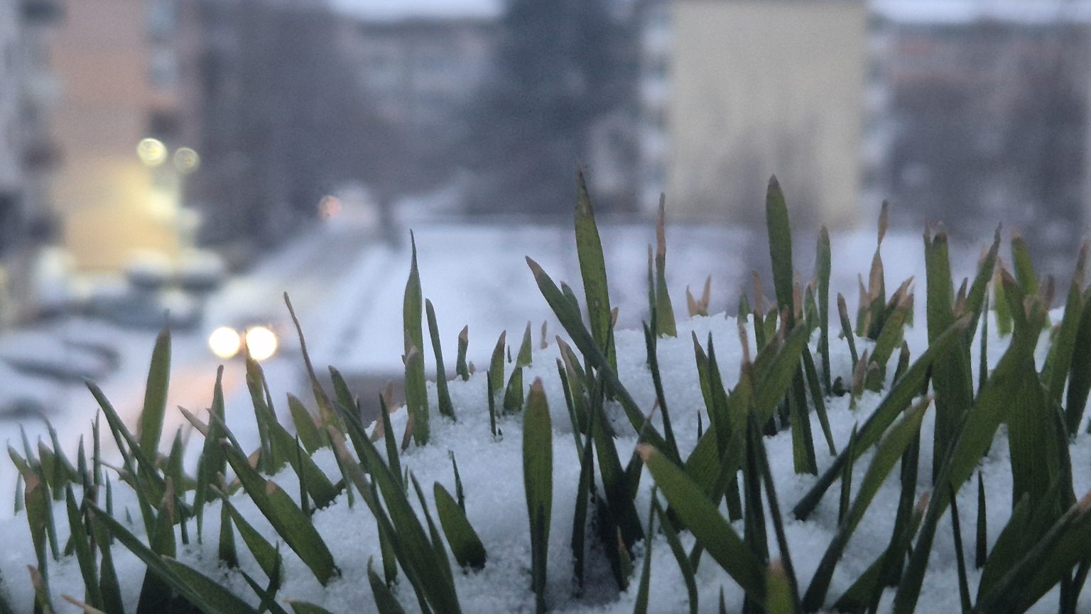 Vreme geroasă la Târgoviște, atenție la frig și la drumuri! Vreme geroasă la Târgoviște, atenție la frig și la drumuri!