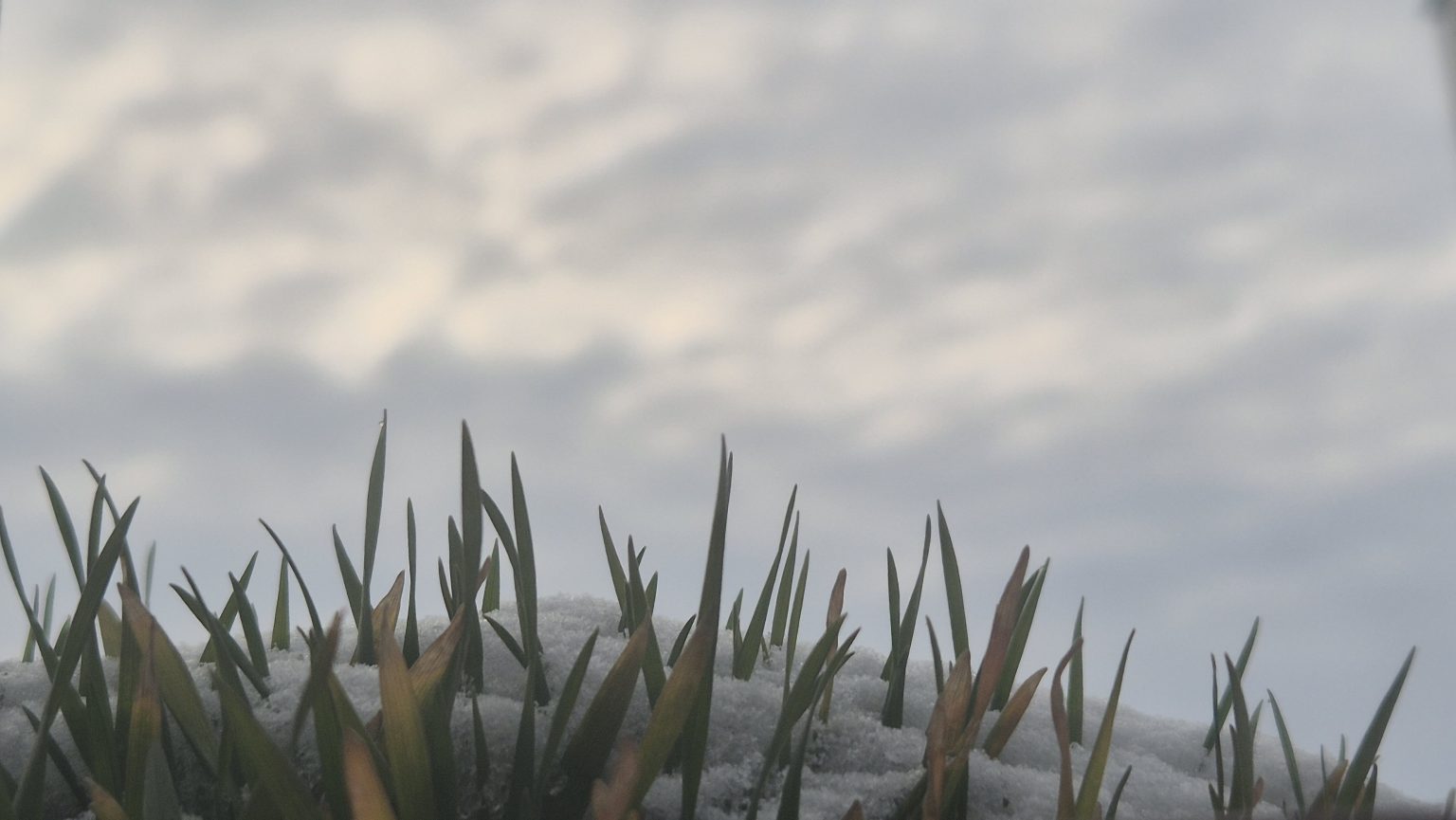 Vreme rece la Târgoviște Vreme rece la Târgoviște