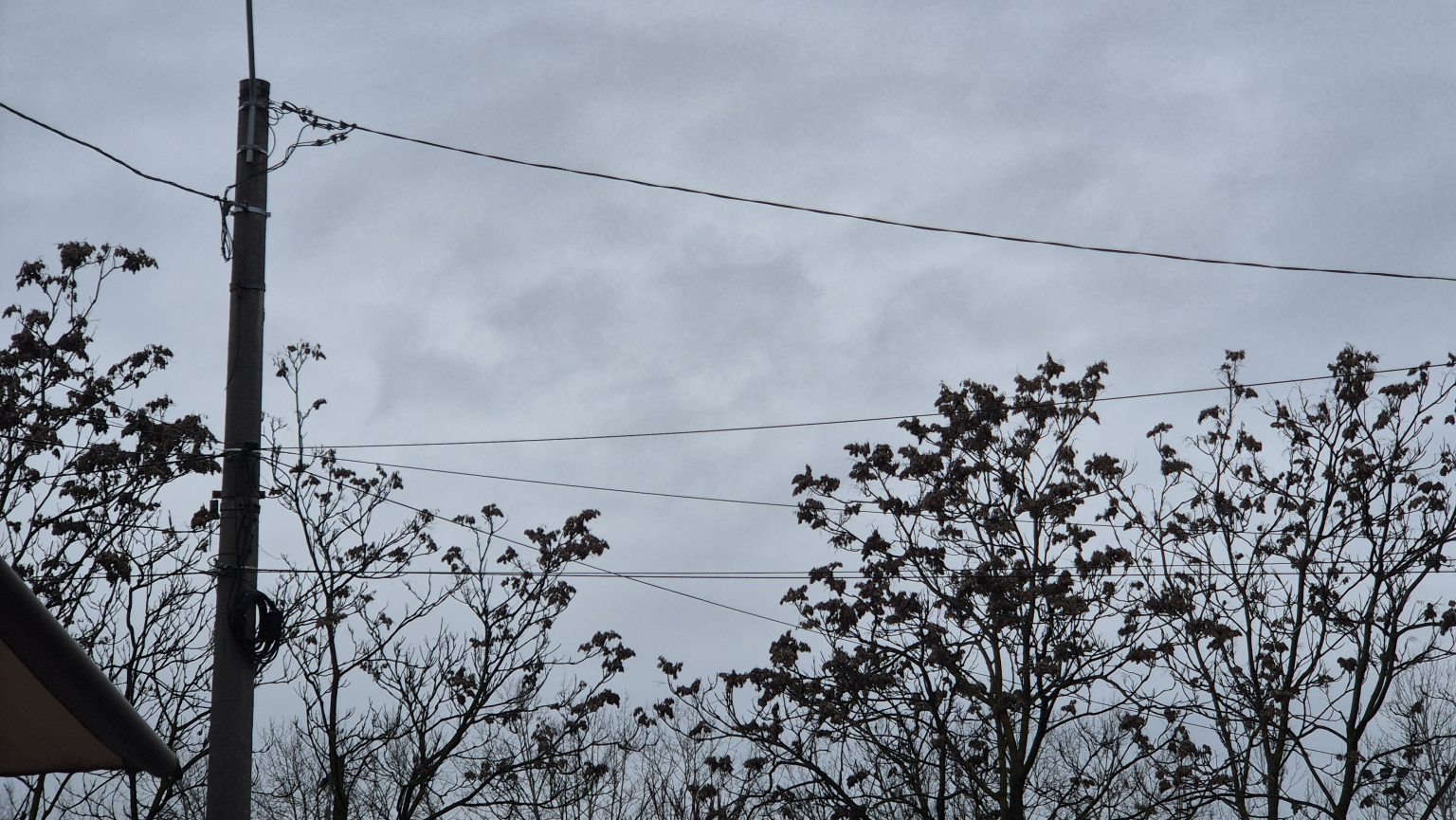 Vreme schimbătoare  de la primăvară la ninsori în doar câteva ore 