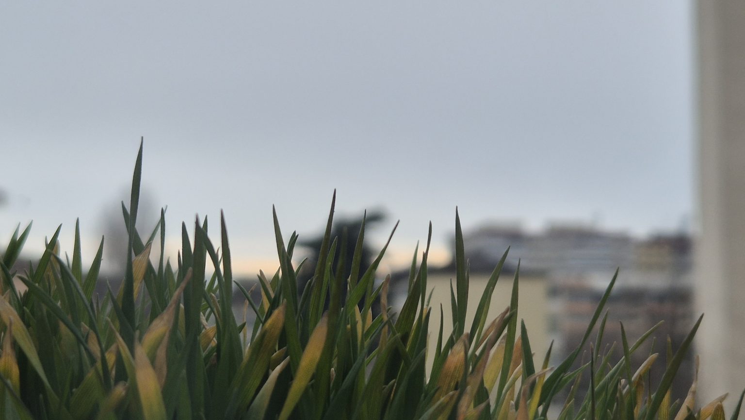 Vremea astăzi în Târgoviște – temperaturi în creștere și cer variabil Vremea astăzi în Târgoviște – temperaturi în creștere și cer variabil