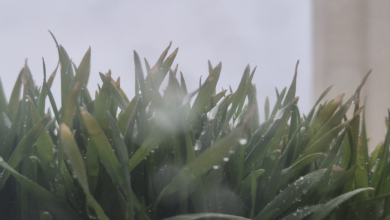 Vremea în următoarele ore la Târgoviște 