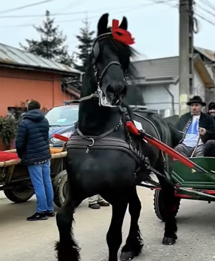 „Tudorița” –  Paștele Cailor, o sărbătoare unică, trăită cu bucurie în cartierul Matei Voievod