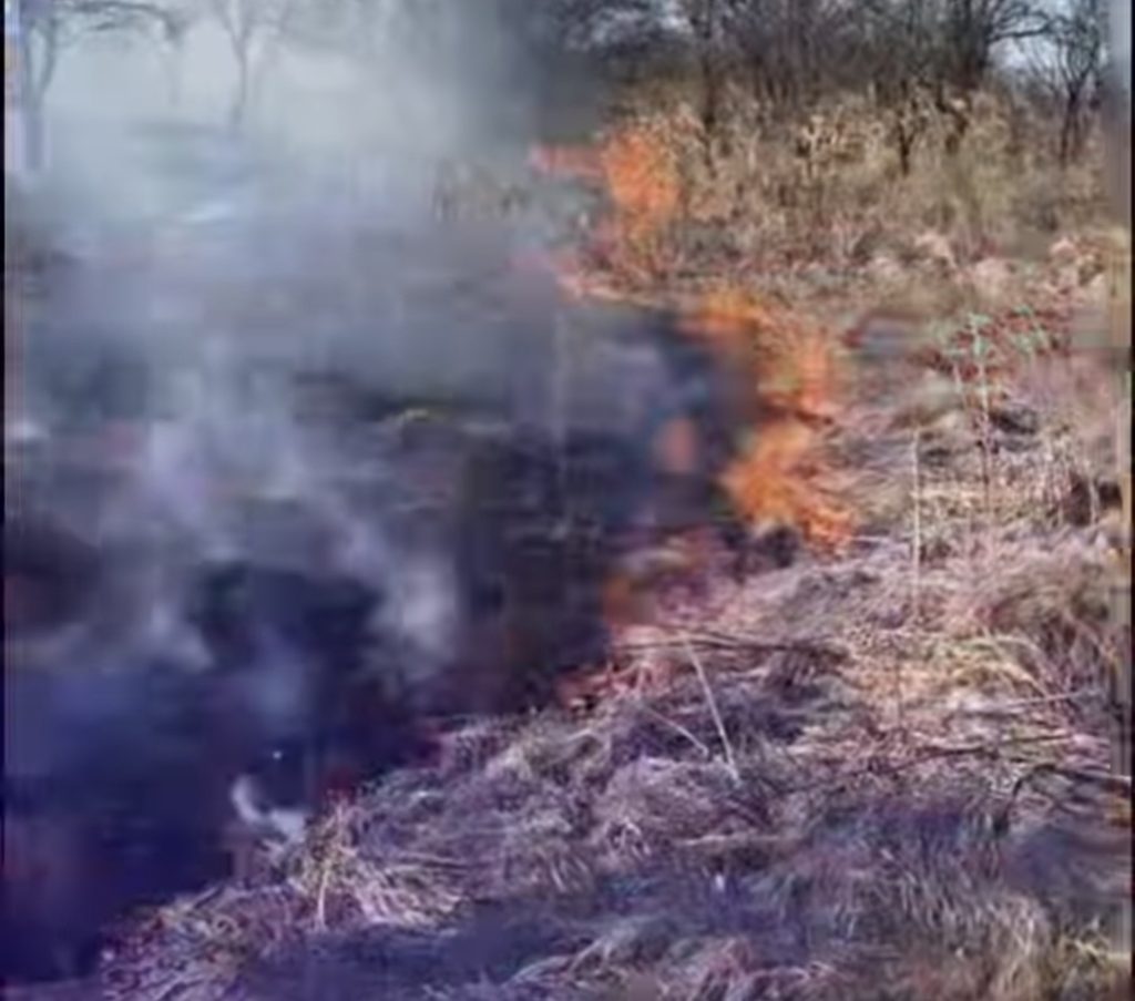 19 incendii de vegetație în Dâmbovița, în doar două săptămâni. Apel urgent al pompierilor: „Stop arderilor!”