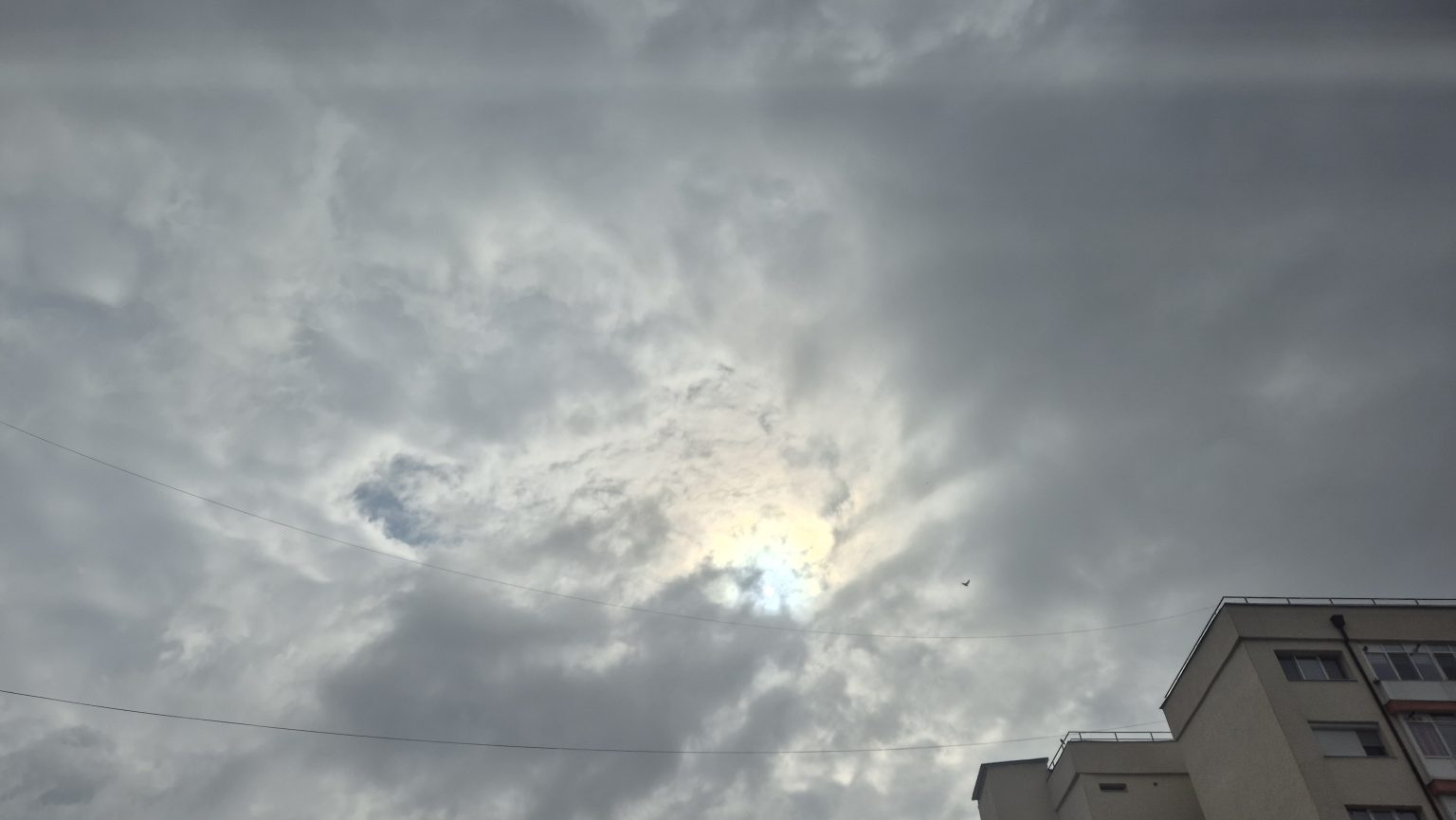 Atenționare meteorologică: intensificări ale vântului în județul Dâmbovița