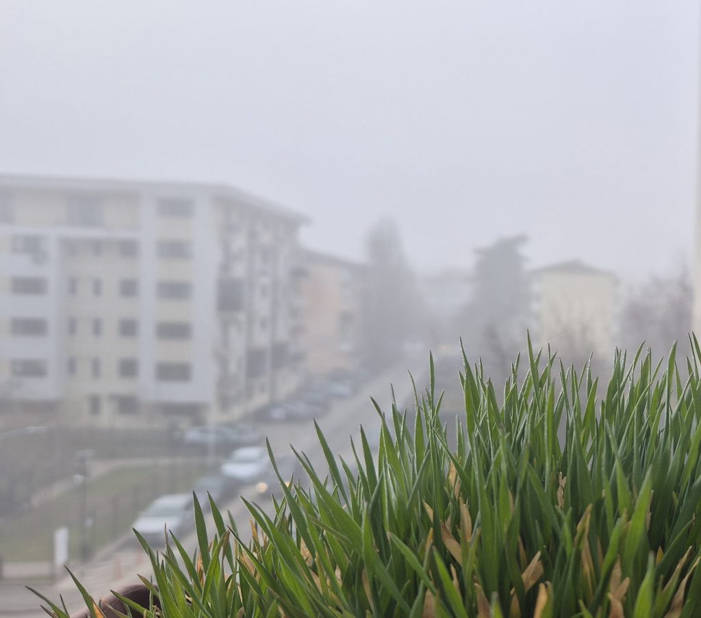 Dimineață cu ceață și temperaturi scăzute la Târgoviște