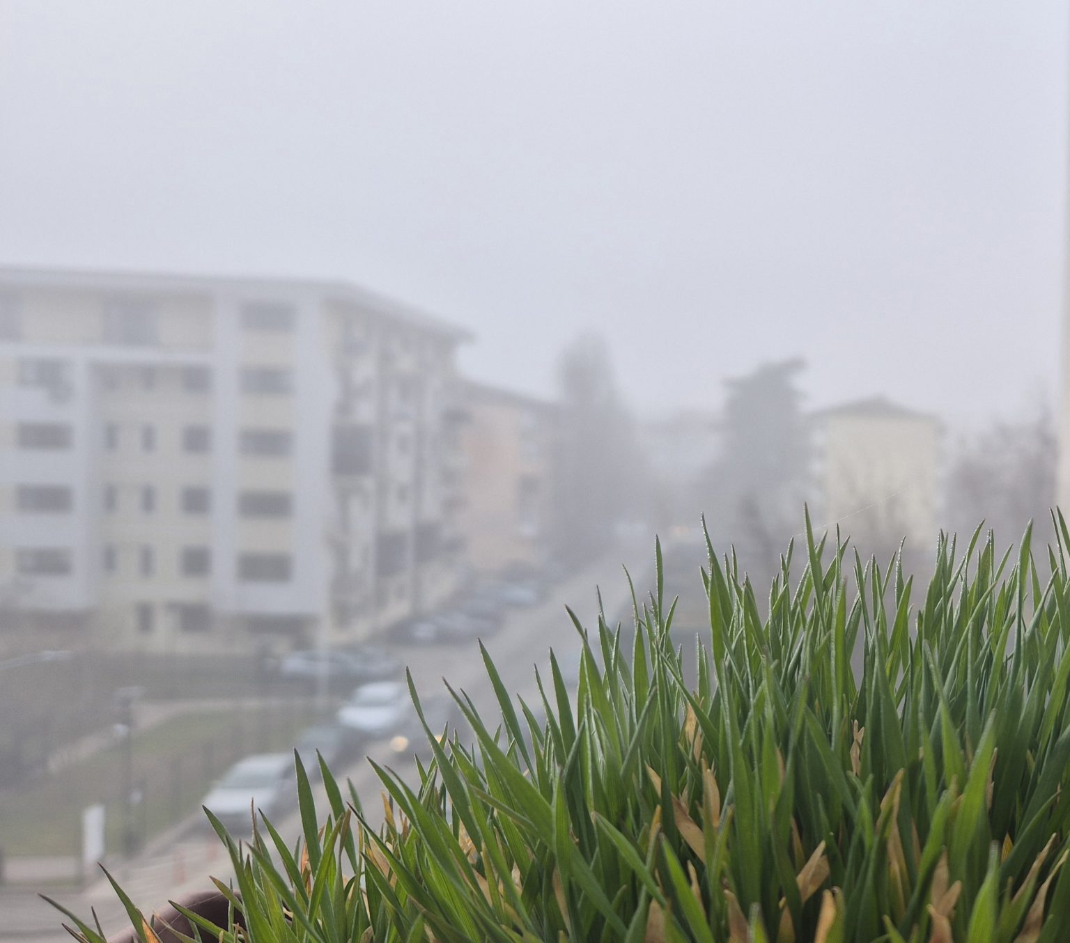 Dimineață cu ceață și temperaturi scăzute la Târgoviște
