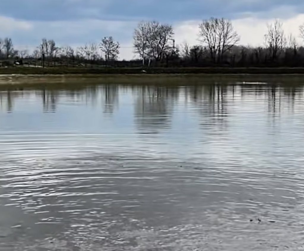 Lacul din Parcul de lângă Complexul de Natație, reumplut și pregătit pentru agrement