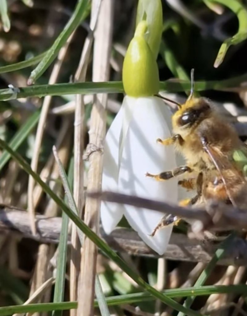 PROGNOZA METEO 11–12 MARTIE: Cald, dar cu surprize!