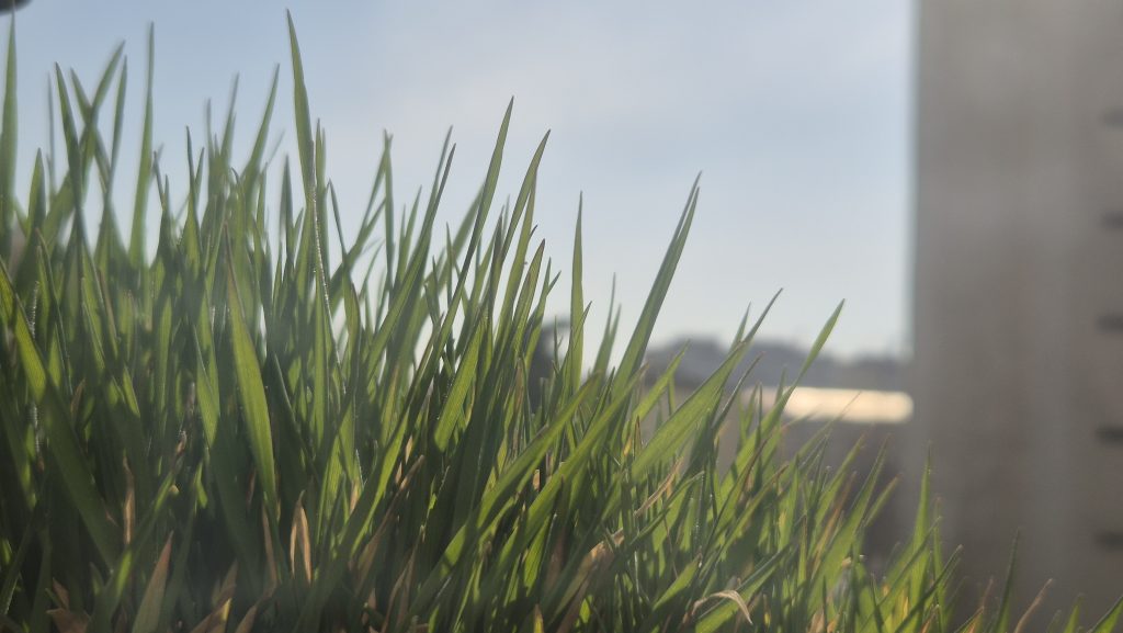 Primăvară mai caldă decât normalul,  Prognoza pentru 16–22 martie arată temperaturi de până la 20°C