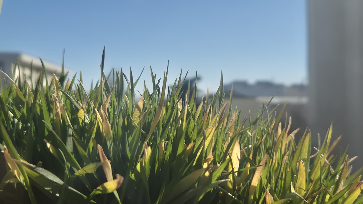  Soare și temperaturi de primăvară însă mare atenție la șocurile termice 