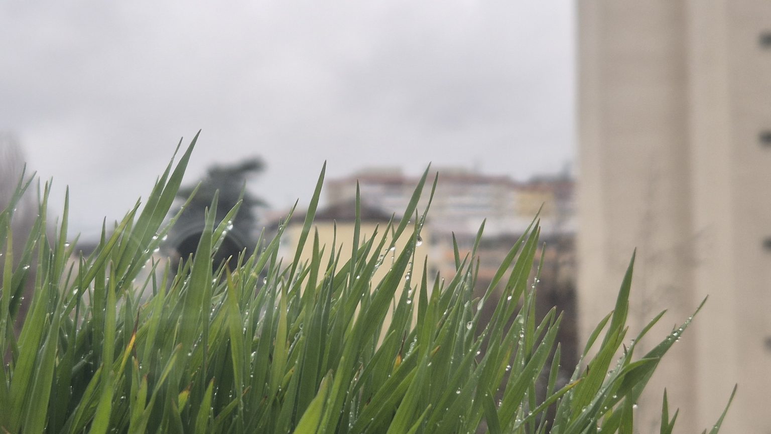 Vești proaste pentru sfârșitul săptămânii și începutul săptămânii viitoare,VREME RECE ȘI PLOIOASĂ