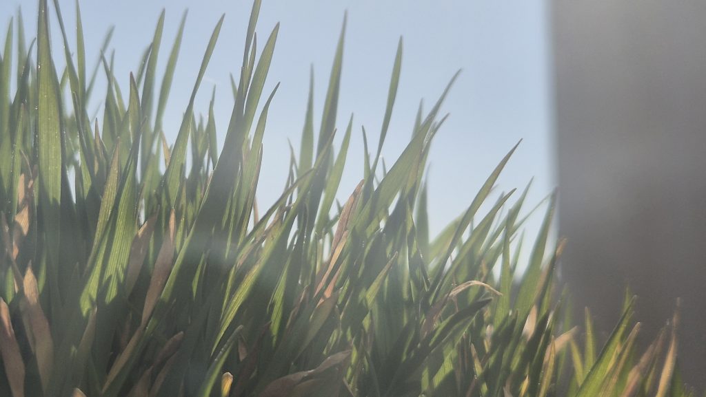 Vreme de primăvară și stabilă în România – prognoza 09–11 martie 2026