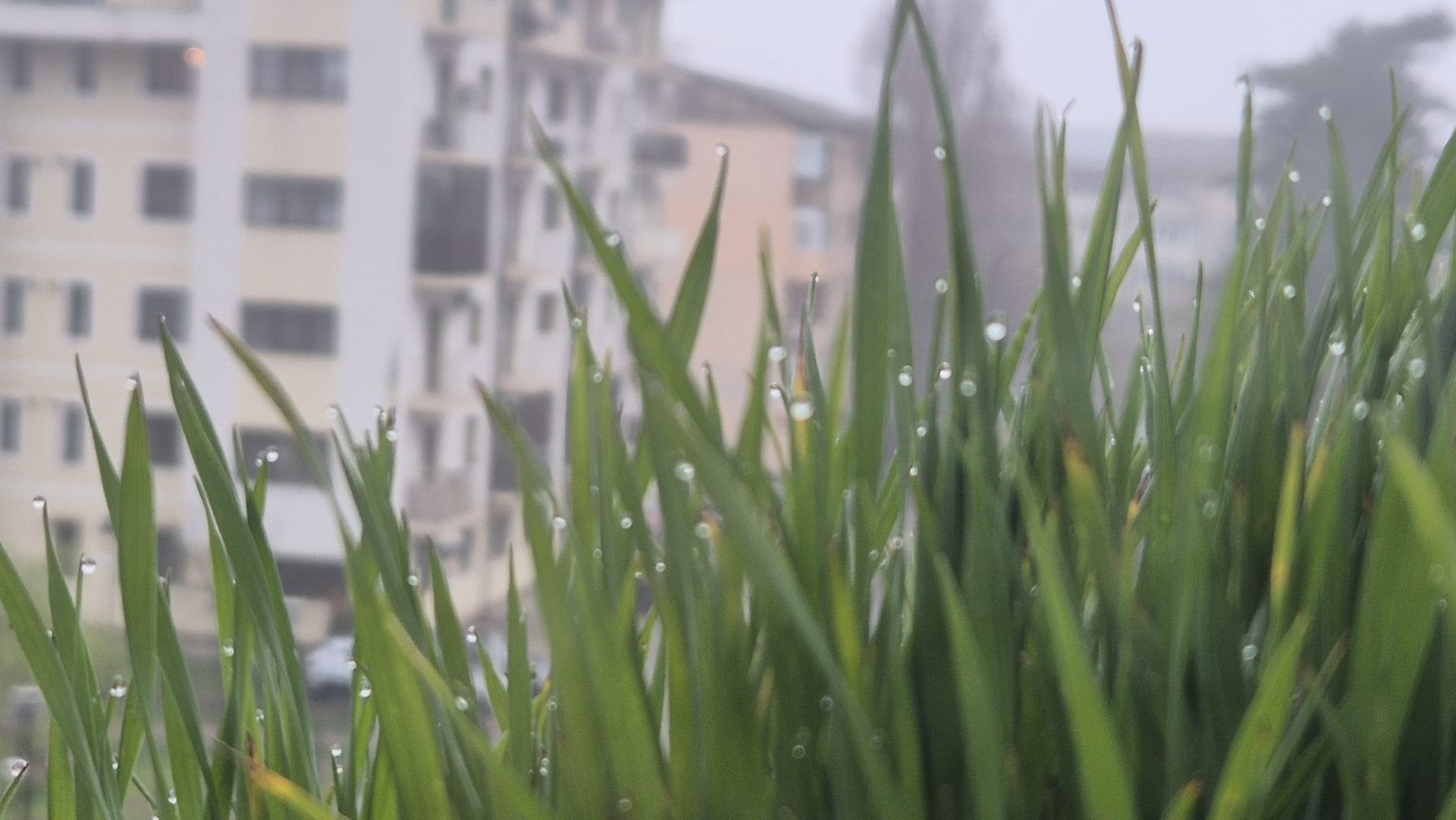 Vreme instabilă, marți, 31 martie 2026